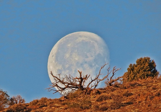 The somewhat full moon on Easter Sunday resembled an egg in this photo by Topaz Ranch Estates resident John Flaherty.
