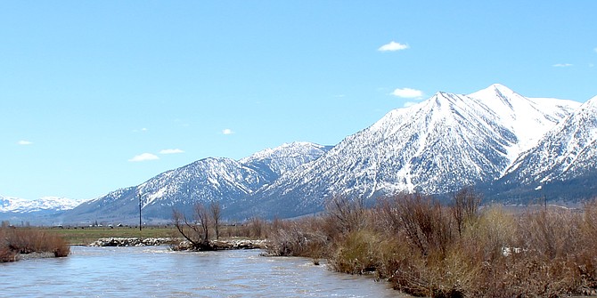 The East Fork of the Carson River was fairly full just south of Muller Lane on Saturday.