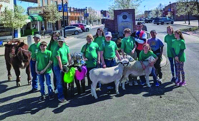 Local youth with their animals visited businesses on Maine Street this month to promote the Churchill County Junior Livestock Show and Sale.