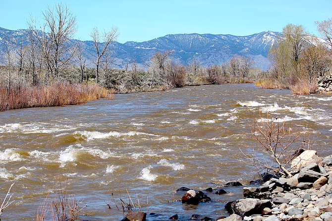 The Carson River just downstream from the Washoe bridge was actually at a lull around lunchtime on Thursday.