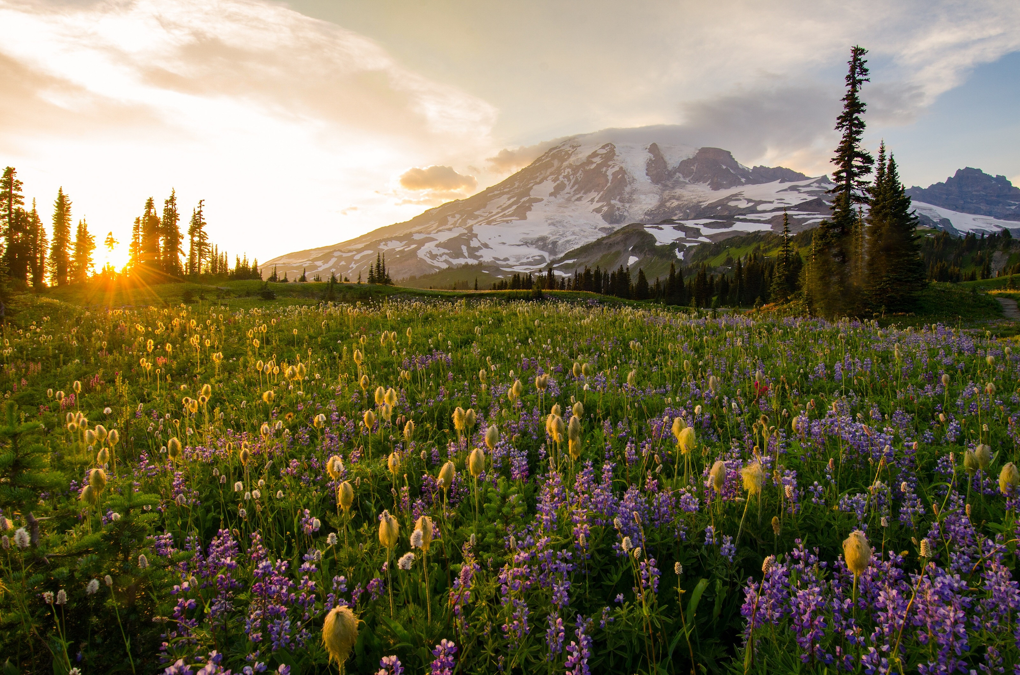 Mount Rainier National Parks asks for input on timed-entry reservations  during summer