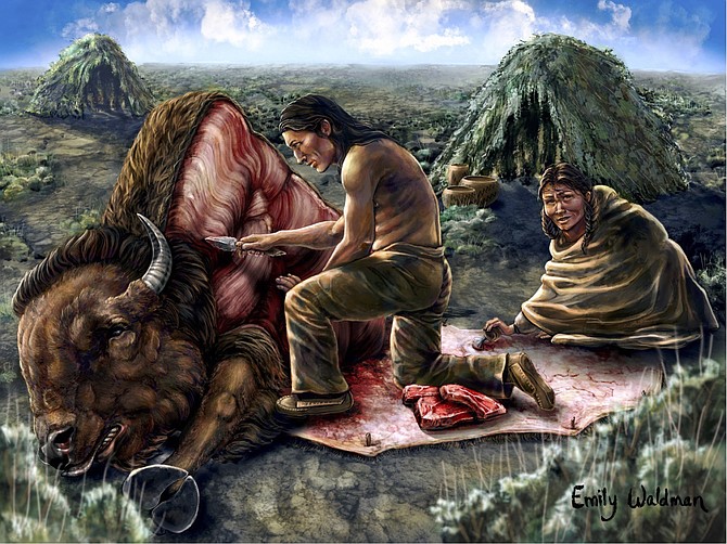 A reconstruction of Washoe Indians skinning and butchering a bison 200 years ago. Illustration by Emily Waldman