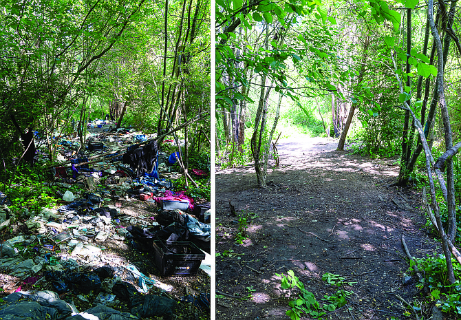 What the same area of a section of the Queen Anne Greenbelt looked like before and after volunteers cleaned it up during Mayor Harrell’s One Seattle Day of Service, May 20.