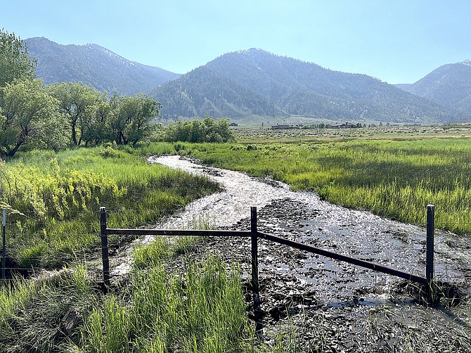 An intermittant creek flows above Jacks Valley Road above the Genoa Lakes Ranch Course on Saturday. There's water leaking into the Valley from all directions, with Pine Nut, Sierra and Genoa Creek still running.