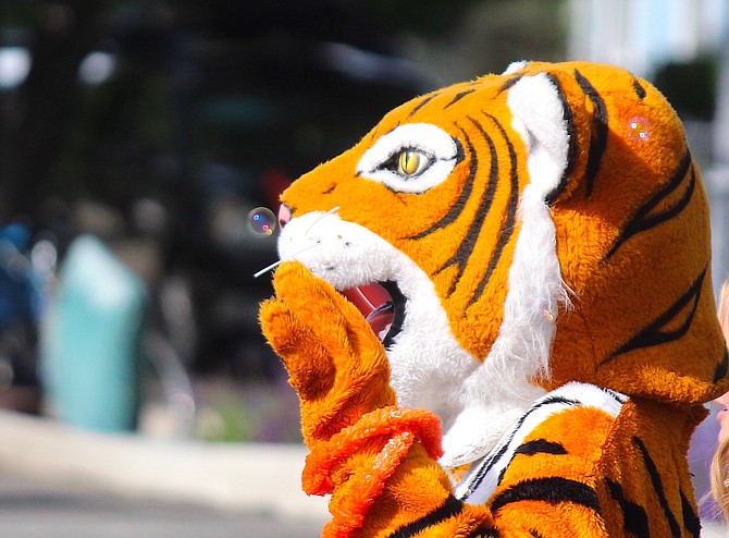 Douglas Tiger mascot Mr. Bo Jangles waves to the crowd at the 2023 Carson Valley Days Parade.