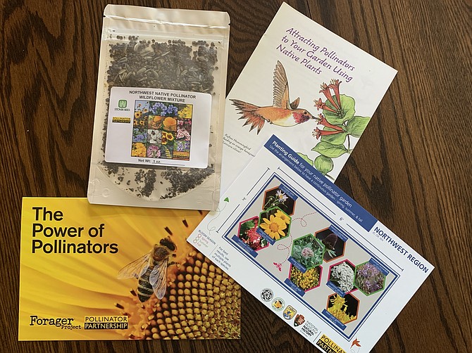 Seed packets — a promotional kit of wildflower seeds from Forager Project.