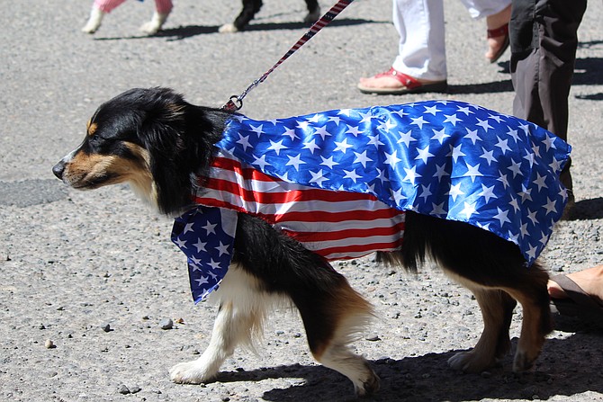 Dogs and people will be donning red, white and blue in celebration of the Fourth of July on Tuesday.