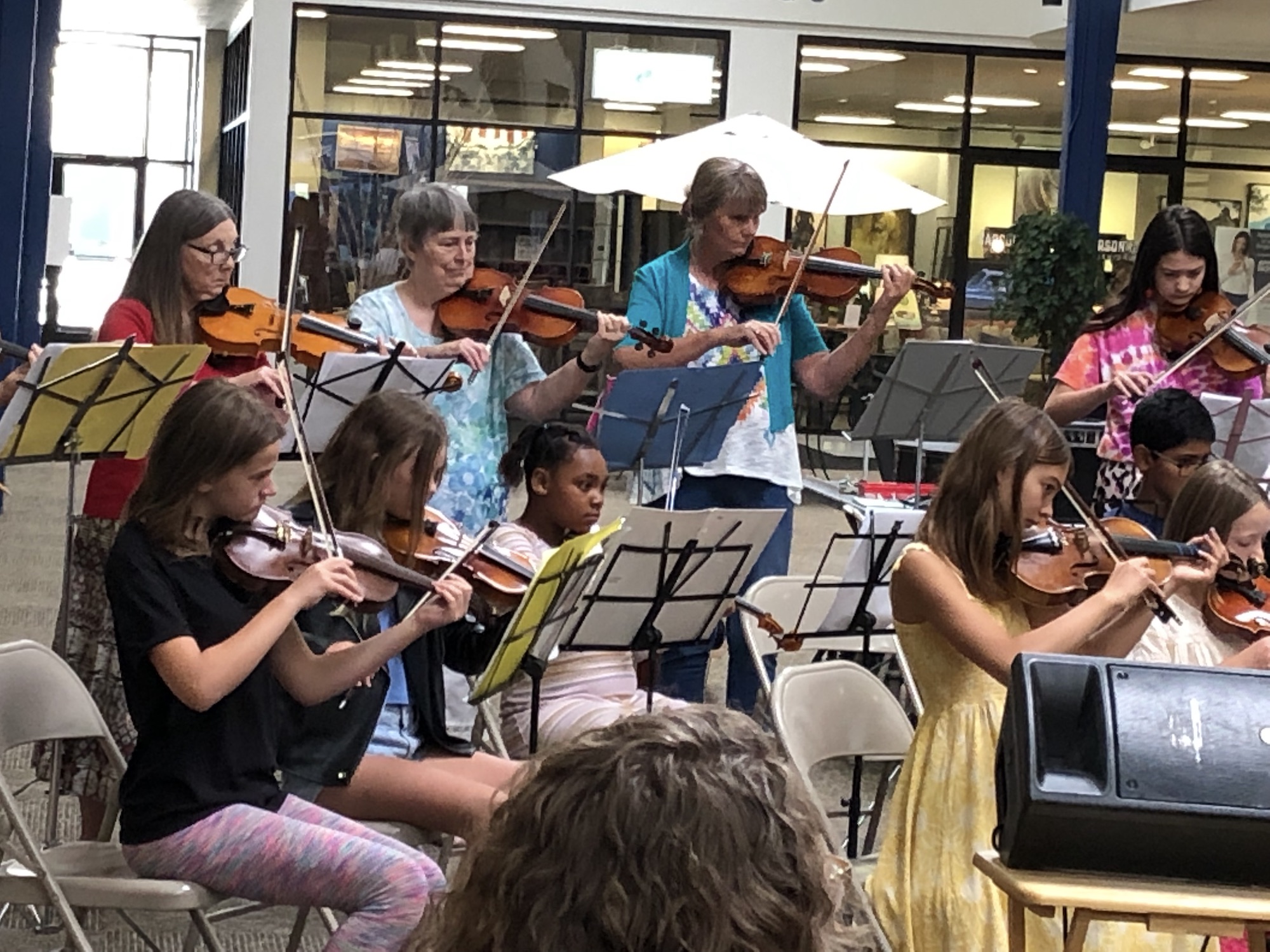 Symphony's 'Strings in the Summer' begins July 14 | Serving Carson City for over 150 years - Vimarsana News