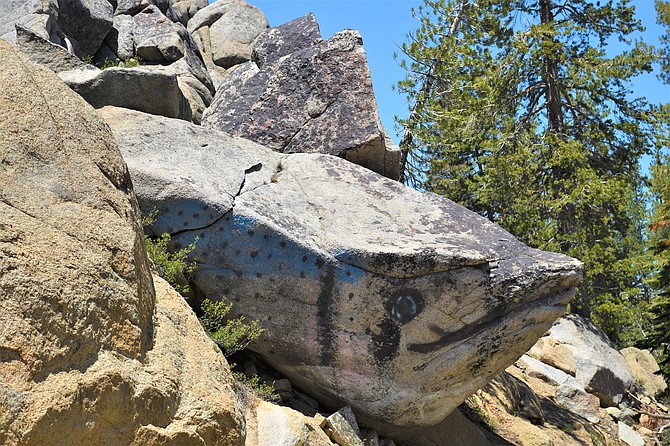Gardnerville resident Tim Berube submitted this photo of a rock formation that resembles a trout along Highway 4 coming down from Ebbett's Pass.