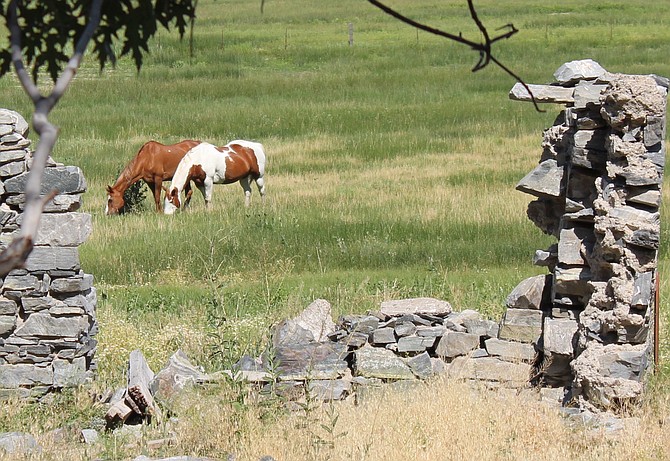 Two horses graze in a field as seen through the ruins of the former Van Sickle Station below Foothill on Friday. A conservation on the property was approved in June.