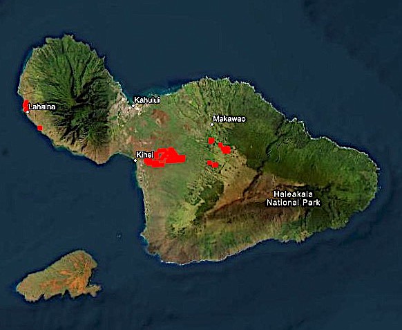 Hot spots indicating fires on the island of Maui this morning from the Fire Information for Resource Management mapping website.