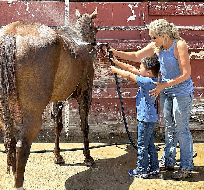 Robin Futch and Josiah Serrano spray down Dancer at Futch’s Ag Adventure livestock farm.
Photo special to The R-C