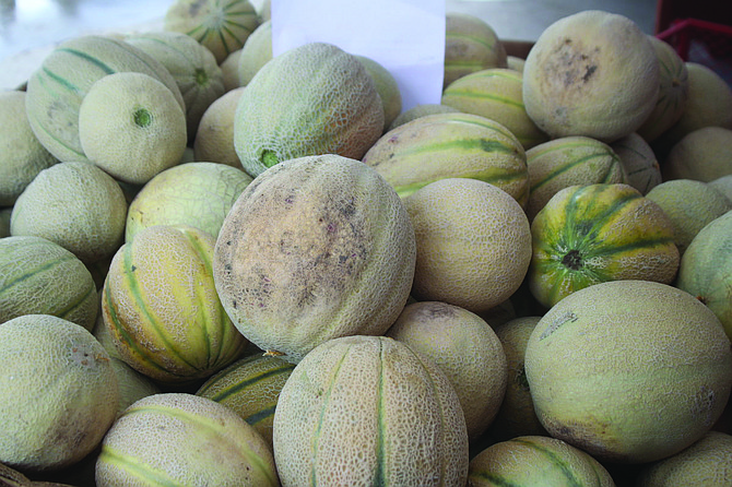 Cantaloupes will be served in all forms this weekend at the annual Fallon Cantaloupe Festival and Country Fair.