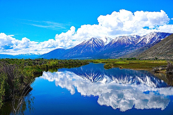 Carson City photographer John Warden's photo of Jobs Peak reflected in one of the sloughs.