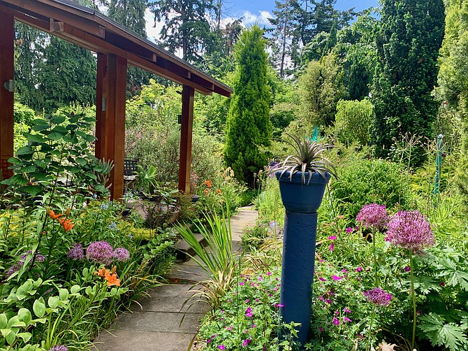 In the Seattle garden of Daniel Sparler and Jeff Schouten, shorter evergreen trees placed in the foreground grant privacy while preserving light and space.