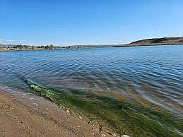 The body of a swimmer who disappeared in the water near Beach 30 at the Lahontan State Recreation Area was found the morning of Aug. 30.