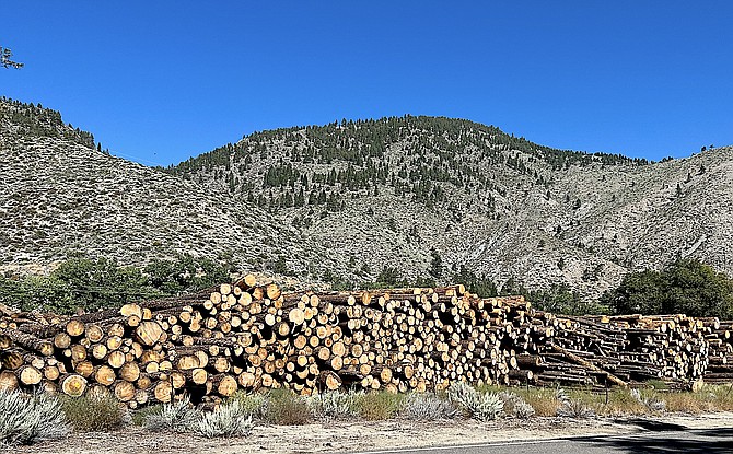 Logs await processing along Foothill Road.