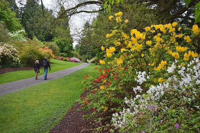 The Washington Park Arboretum is hosting a free public event on Sunday, Sept. 24.
