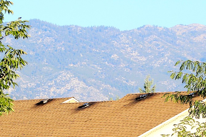 The roof of a home on Sanden bears the signs of an attic fire that was extinguished on Saturday.