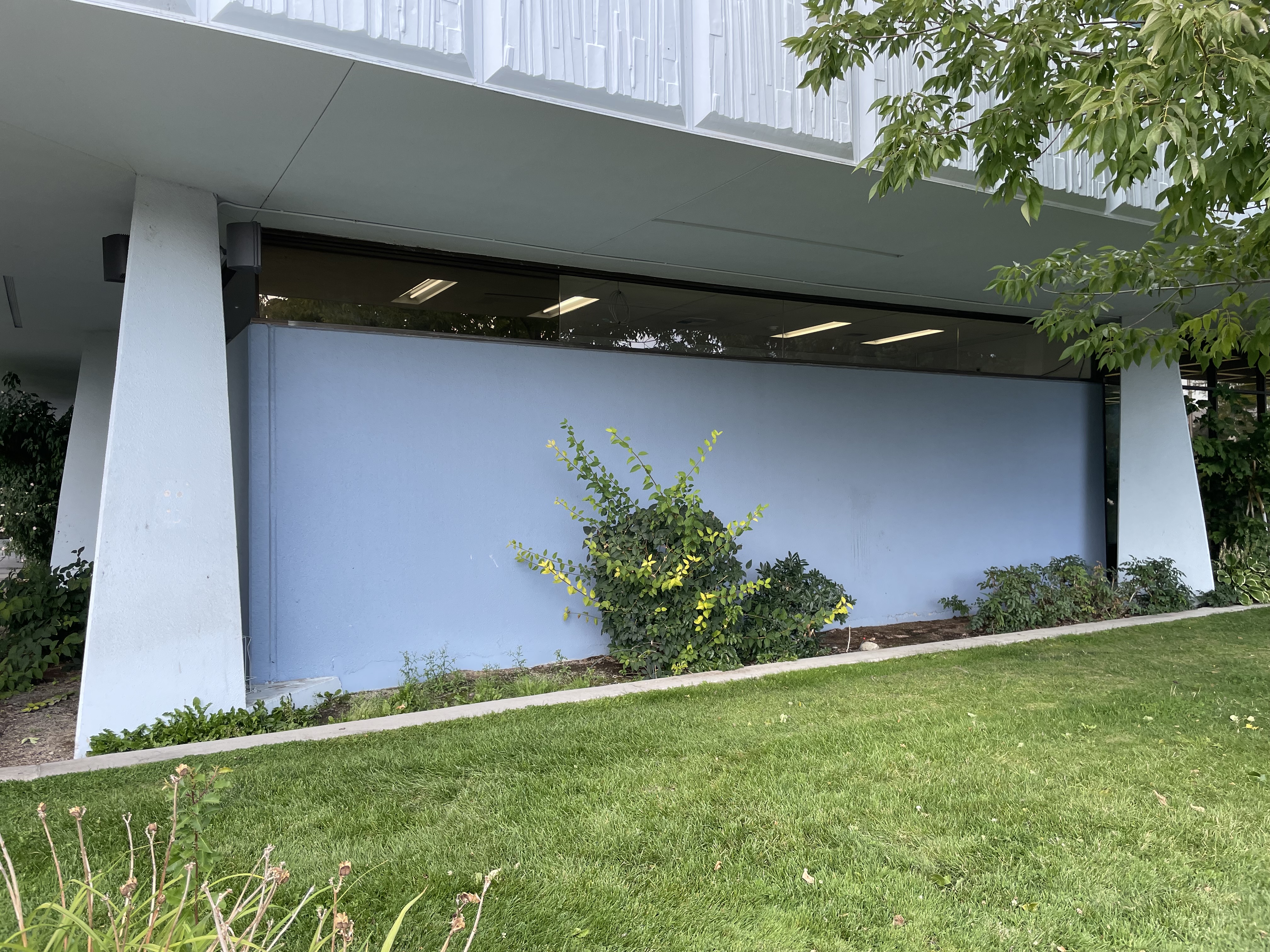 Supervisors OK library mural, date for bar hearing - Vimarsana News