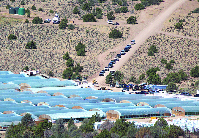 A long line of law enforcement vehicles at the site of an illegal pot grow on Sept. 20, 2021.