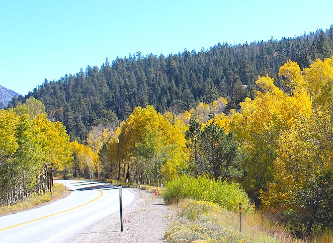 The aspens are starting to turn in Hope Valley on Friday morning.