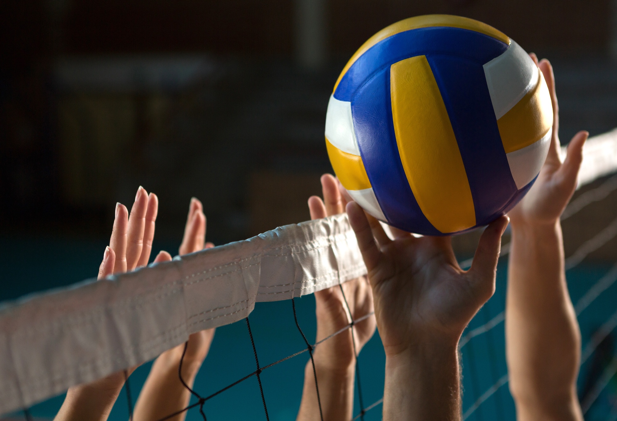 Fallon volleyball sweeps 3A regional coming up Carson City s Trusted