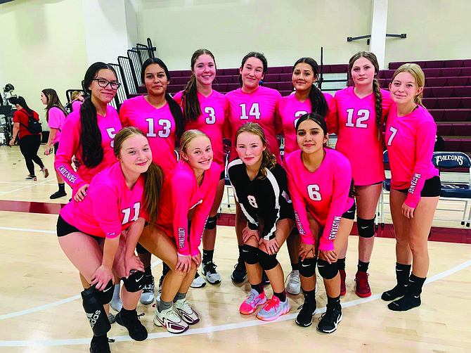 The 2023 PCHS varsity volleyball team wears their Dig Pink jerseys in support of breast cancer research - from left to right back row: Anna Happy (5), Mia Canchola (13), Raegan Burrows (3), Aaliyah Allen (14), Yasmine McKinney (2), Kyra Cerini (12), Khloe Montes (7) Front row: KayLee Poffenroth (11), Taylor Garland (4), Arya Garland (8) and Laura Gomez (6).