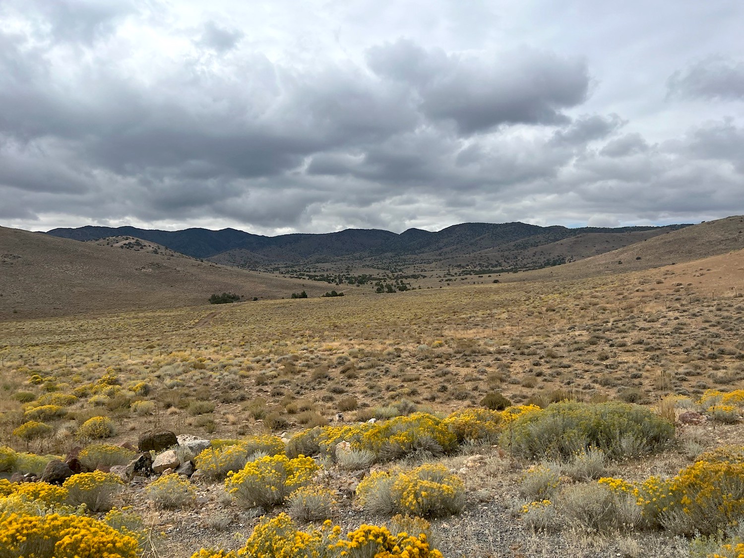 Denver-based firm buys 2,200 acres at TRIC - Vimarsana News