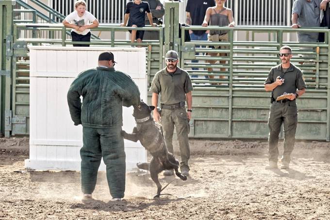 Carson K-9s lead the way at annual challenge - Vimarsana News