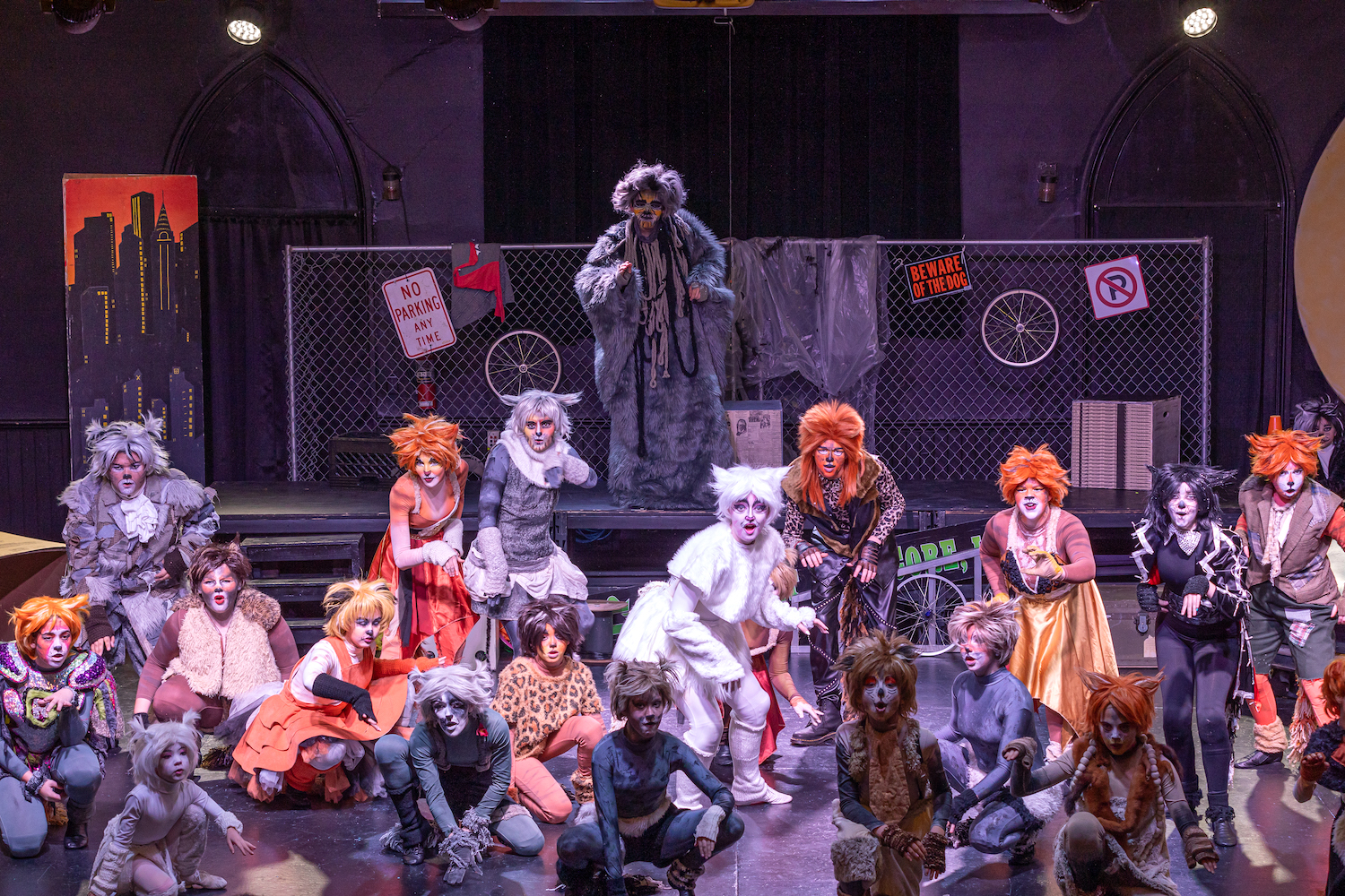 Cats the musical' coming to Carson City  Serving Carson City for over 150  years