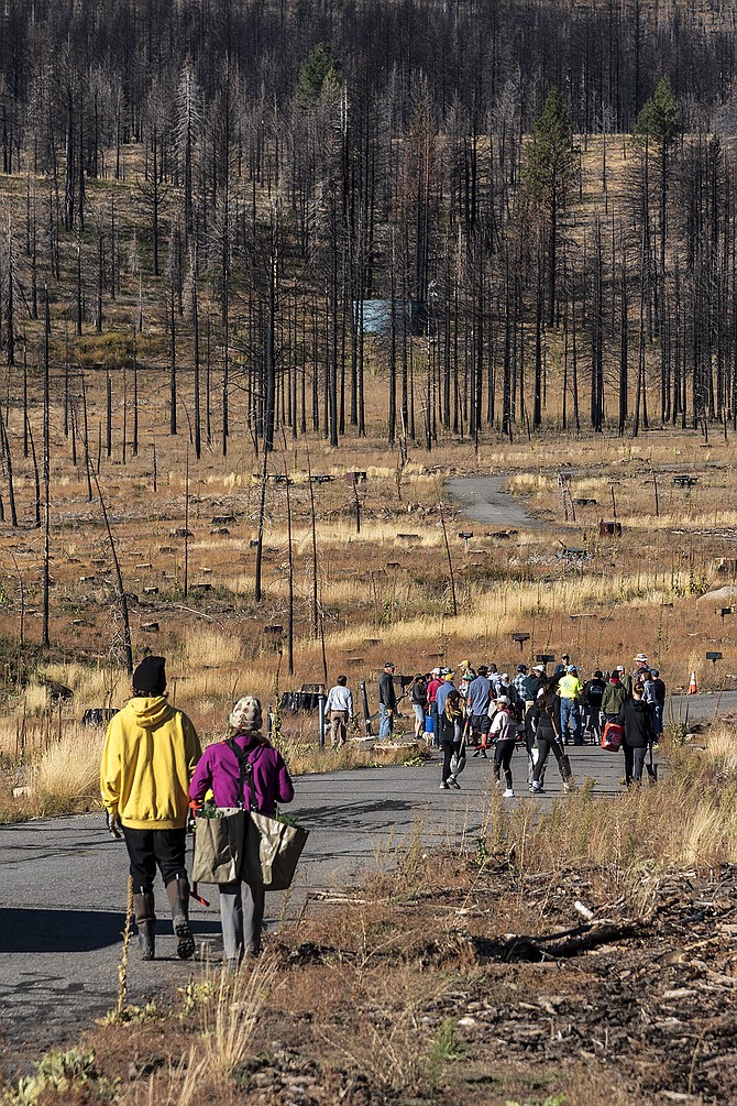 Volunteers walk to where trees will be planted on the Tamarack Fire burn on Oct. 21 in Alpine County.