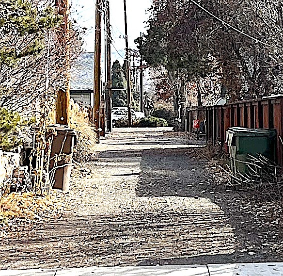 On Nov. 1, the Minden Town Board voted 3-2 to continue trash collection in the old town's alleys. Trash collection is on the agenda again for the Dec. 6 meeting where a rate increase is being proposed.