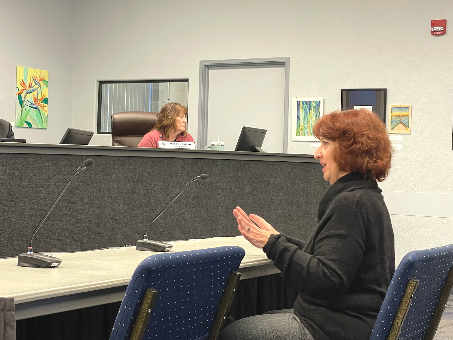 Supervisors fill committees, end Brown Street plan - Vimarsana News