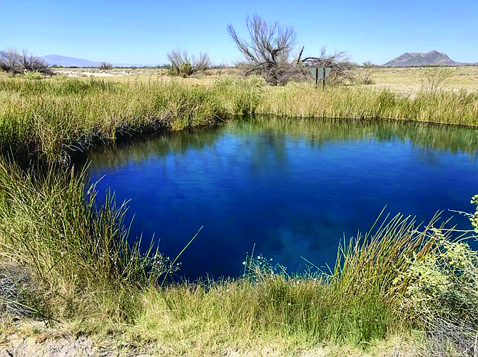 Ash Meadows National Wildlife Refuge (Photo: Kate Bloomfield/USFWS)