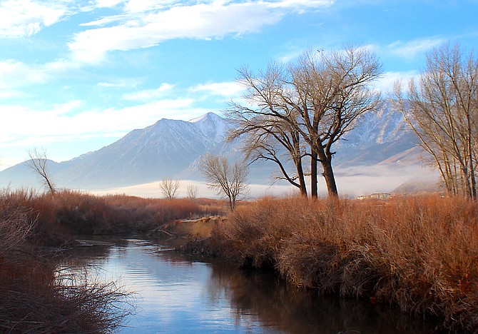 The confluence of the East and West Forks just north of Genoa Lane in Carson Valley on Friday morning.