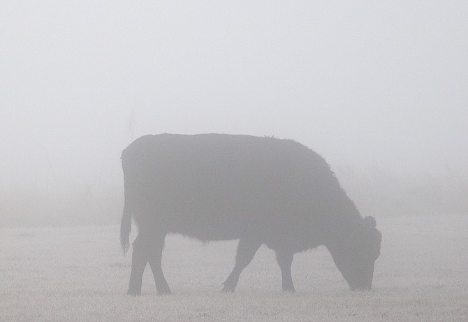 The Cattleman's Update is designed to clear up some of the fog around ranching over the coming year.