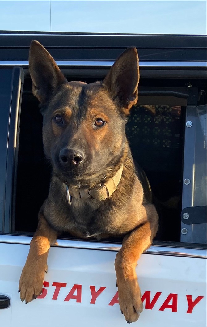 Douglas County Sheriff's Office K-9 Blaze followed his nose to 12 ounces of methamphetamine during a January traffic stop.