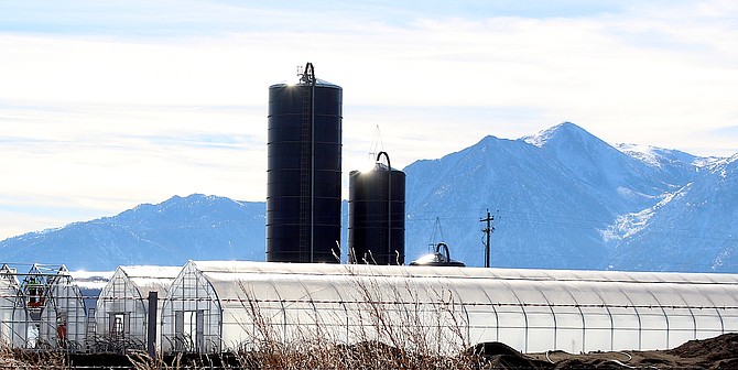 Work on outdoor hoop houses is underway on the old Milky Way Dairy by Moana Nursery in Reno.