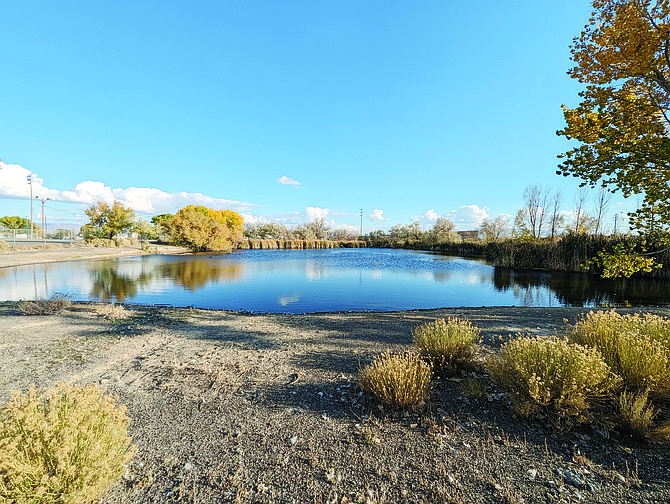 The Battle Mountain community is working to restore the local duck pond to achieve accessibility and engagement for all.