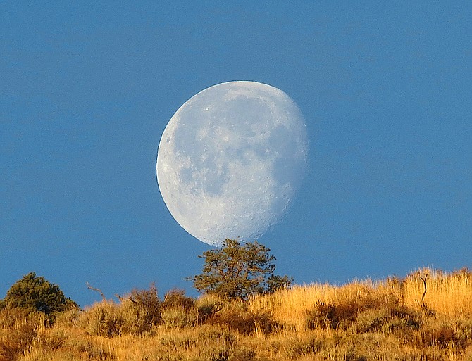 The moon appears to balance on a piñon above Topaz Ranch Estates on Monday in this photo taken by John Flaherty. It has been four years since a similar photo was published on the front page of The R-C over the headline 'Winter storm to bring 6 feet of wind.' This week's storm is unlikely to generate more than 3 feet of wind.