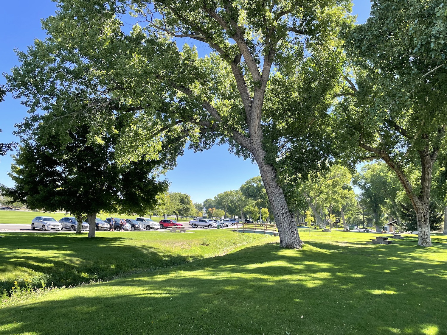 Portions of Mills Park closed this week - Vimarsana News