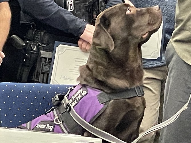 Tofi, a therapy dog for Carson City Juvenile Services, Detention and Probation Department, was among many recognized by the Board of Supervisors on Thursday for length of service.