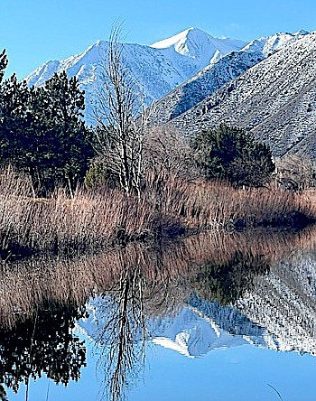 Genoa resident Tim Brown captured a reflection of Jobs Peak in all its snowy glory after the clouds cleared on Tuesday morning.