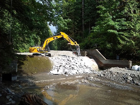The concrete dam across the Pilchuck River was punctured and dismantled in summer 2020.