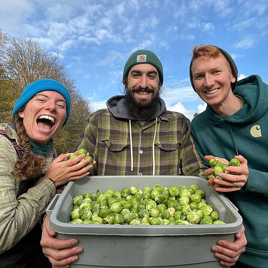 Radicle Roots farmers Allie Leiser, Pete Temrowski and James Berntson show off their brussel sprout loot at their farm just outside Snohomish city limits. Radicle Roots will sell organic vegetables at the Snohomish Farmers Market for their fifth year this season.