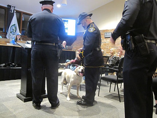 Retired K-9 Sam looks all around City Council Chambers while on Officer Devin Tucker’s leash during his ceremony.