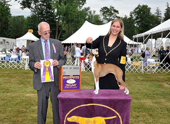 Owner Sarah Evans smiles for a photo with Sriracha, her winning Italian Greyhound, during the Best in Breed competition Tuesday, June 18 at the Westminster Kennel Club Dog Show in New York. The judge is displaying their award.