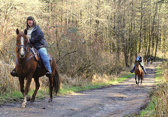 Several horse riders along with a group of hikers in the distance took advantage of a rare sunny day in mid-March 2017 to travel along one of the many trails in Lord Hill Regional Park southeast of Snohomish. The nearly 1,500-acre park is shared by joggers, mountain bikers, trail hikers and equestrian users, and sometimes the needs of these user groups collide. A plan seeks to give balance for each group.