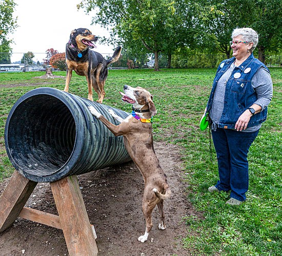Cindy Ladd, of Monroe, with Scarlett and Stella, bottom right, at Wiggly Field in Monroe. Scarlett, a 6-year-old Australian and German Shepherd mix that hopped on top of the tube, came to Cindy and John Ladd from Beck’s Place, a countywide foster program for pets that is based in Monroe. Stella, who is a Catahoula leopard dog mix, is the Ladd’s pet. Before being fostered, Scarlett was living with her owner’s family in a car, Ladd said. ”When the family gets on its feet we will return Scarlett to her home,” she said.